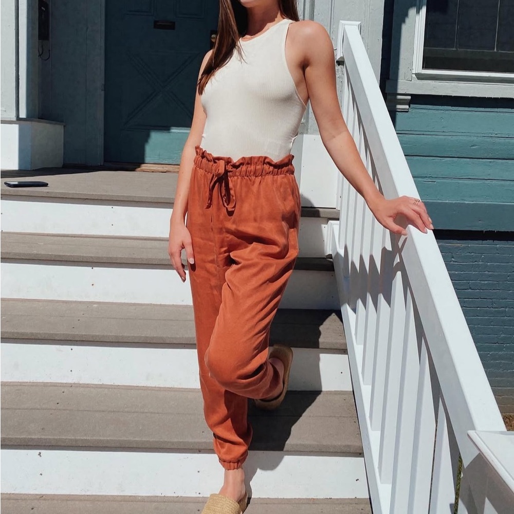 Banana Republic Rust Drawstring Pants